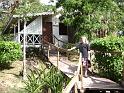 Library - 4949